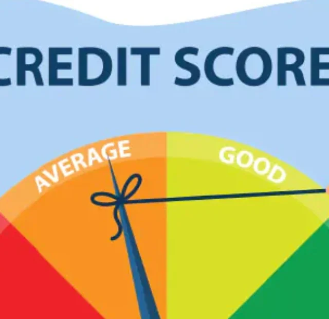 healthy credit score in India